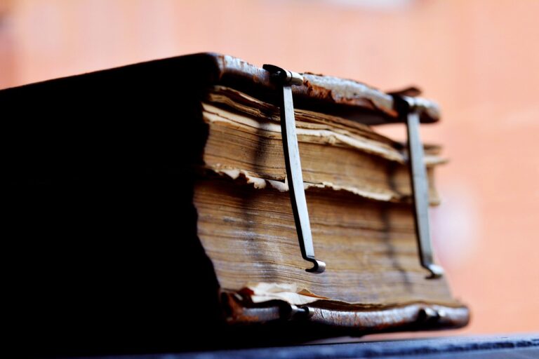 Exploring Culturally Responsive Physical Therapy Education