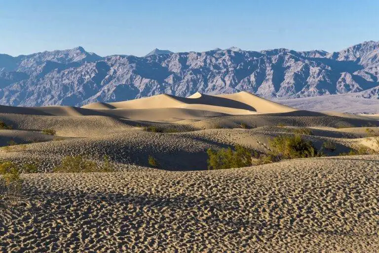 The Benefits of Gratitude Practice: Cultivating Thankfulness for a Happier Life