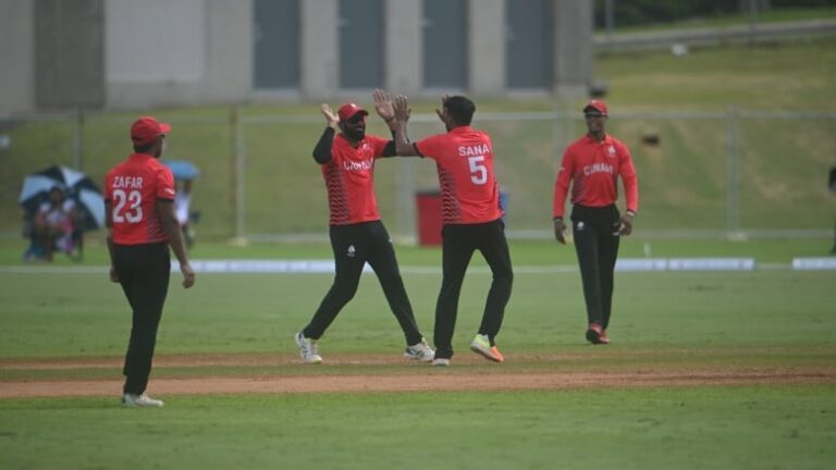 The Benefits of Betting on Outright Series Winners in IPL at Saffronexch